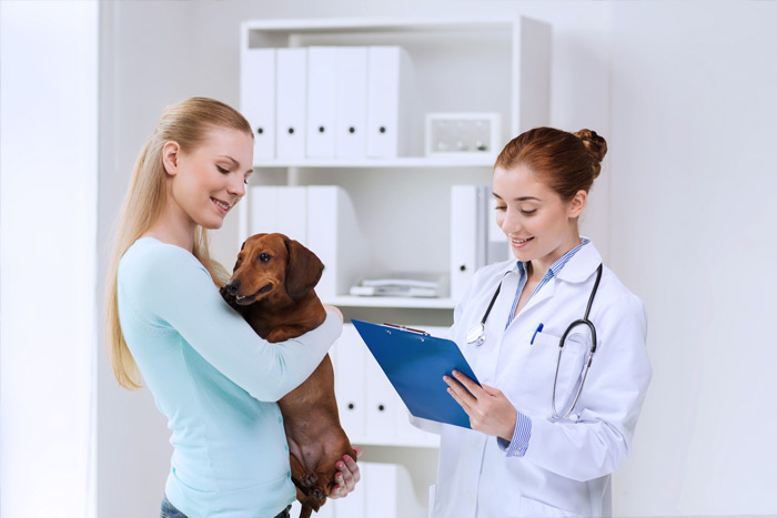 ЭЦП для оформления ветеринарных сертификатов (ГИС Меркурий) в Елизове